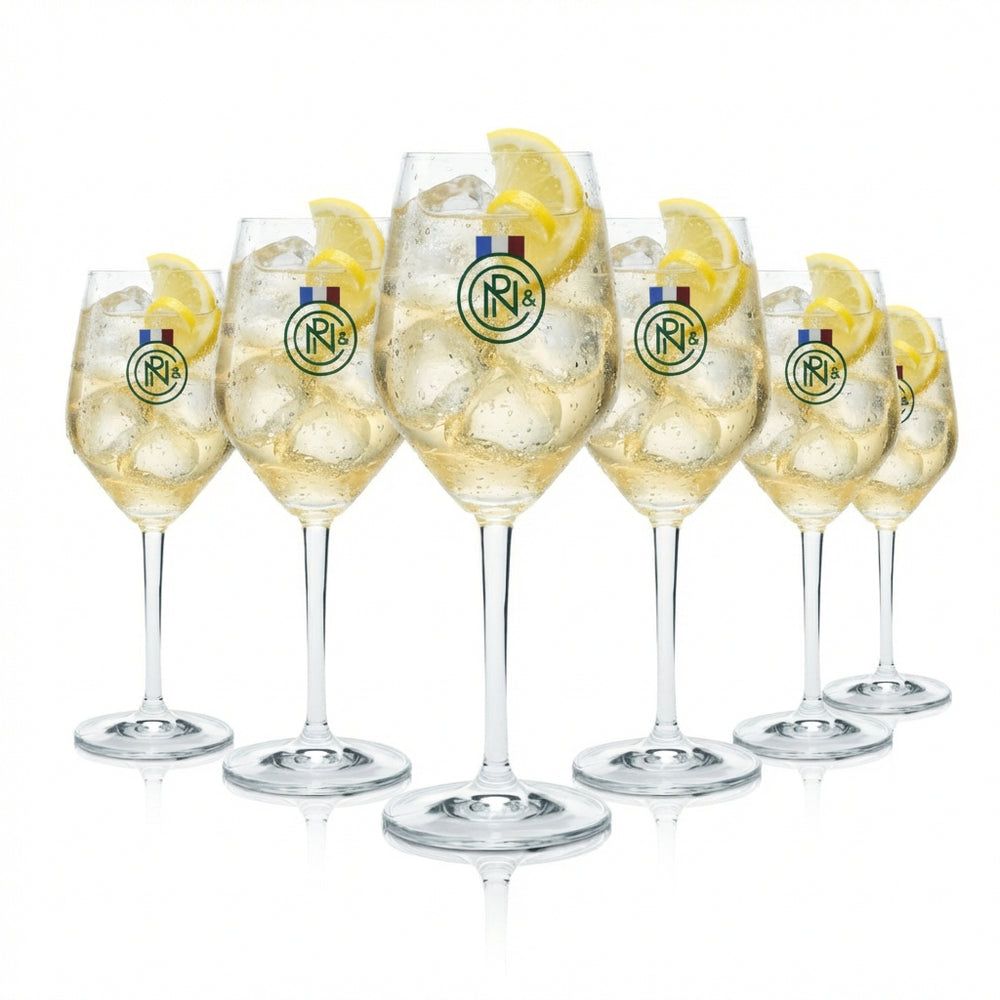 Set di 6 bicchieri Noilly Prat da 0,36 l – Bicchieri da vermouth per aperitivi e Dry Martini
