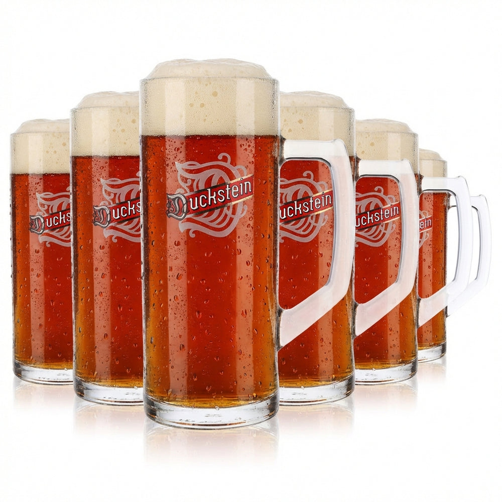 6 bicchieri da birra Duckstein da 0,5 l, boccale da birra, boccale da birra liscio Borgonovo Reno