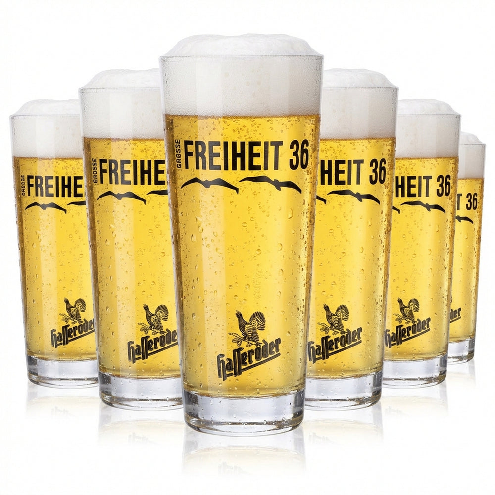 6 bicchieri da birra Hasseröder Bicchieri da birra 0,3 l Willibecher Große Freiheit 36
