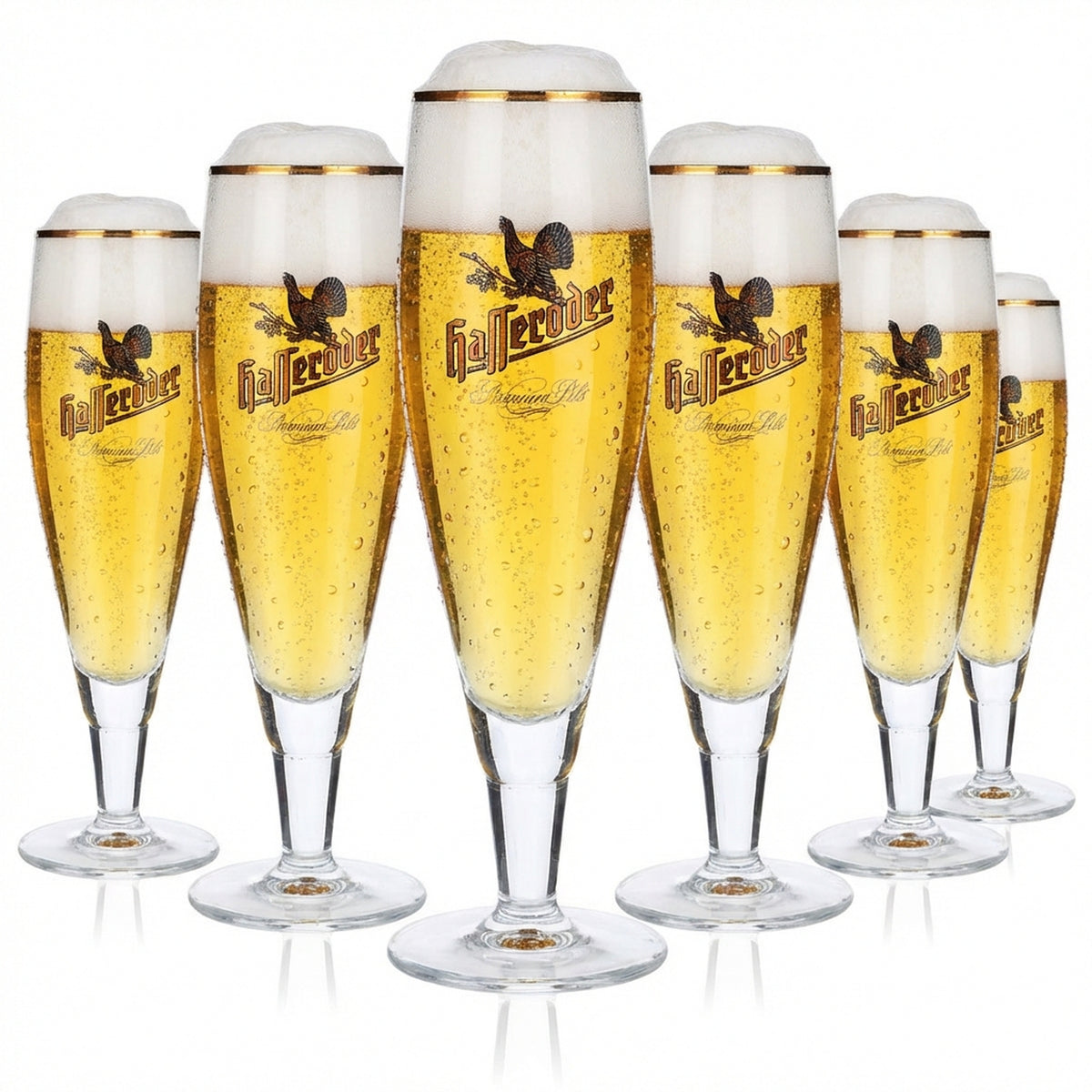 6 bicchieri da birra Hasseröder 0,2 l con bordo dorato Alegro Pokal lungo Ritzenhoff
