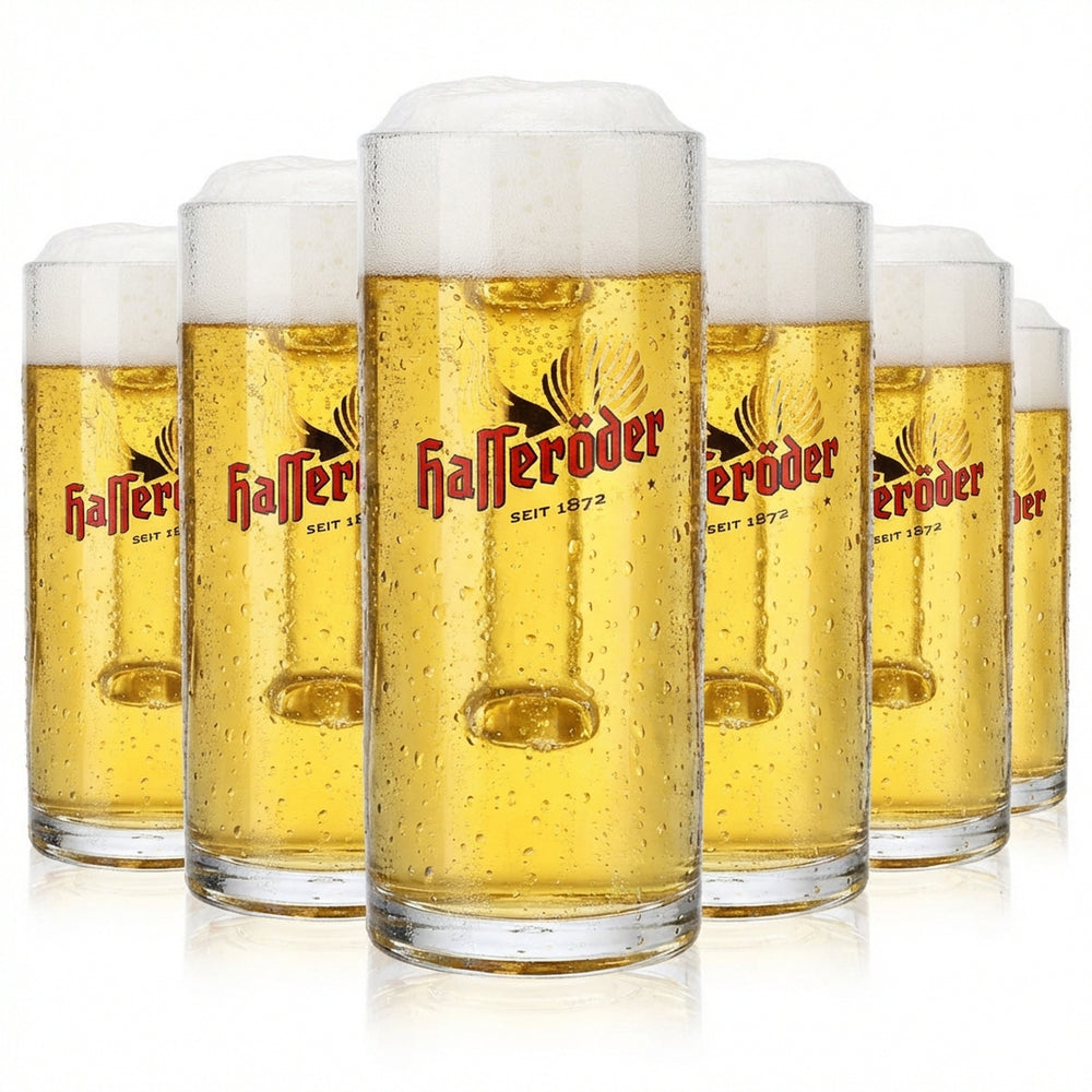 6 bicchieri da birra Hasseröder Bicchieri da birra Bicchieri da birra 0,3 l Boccale Reno