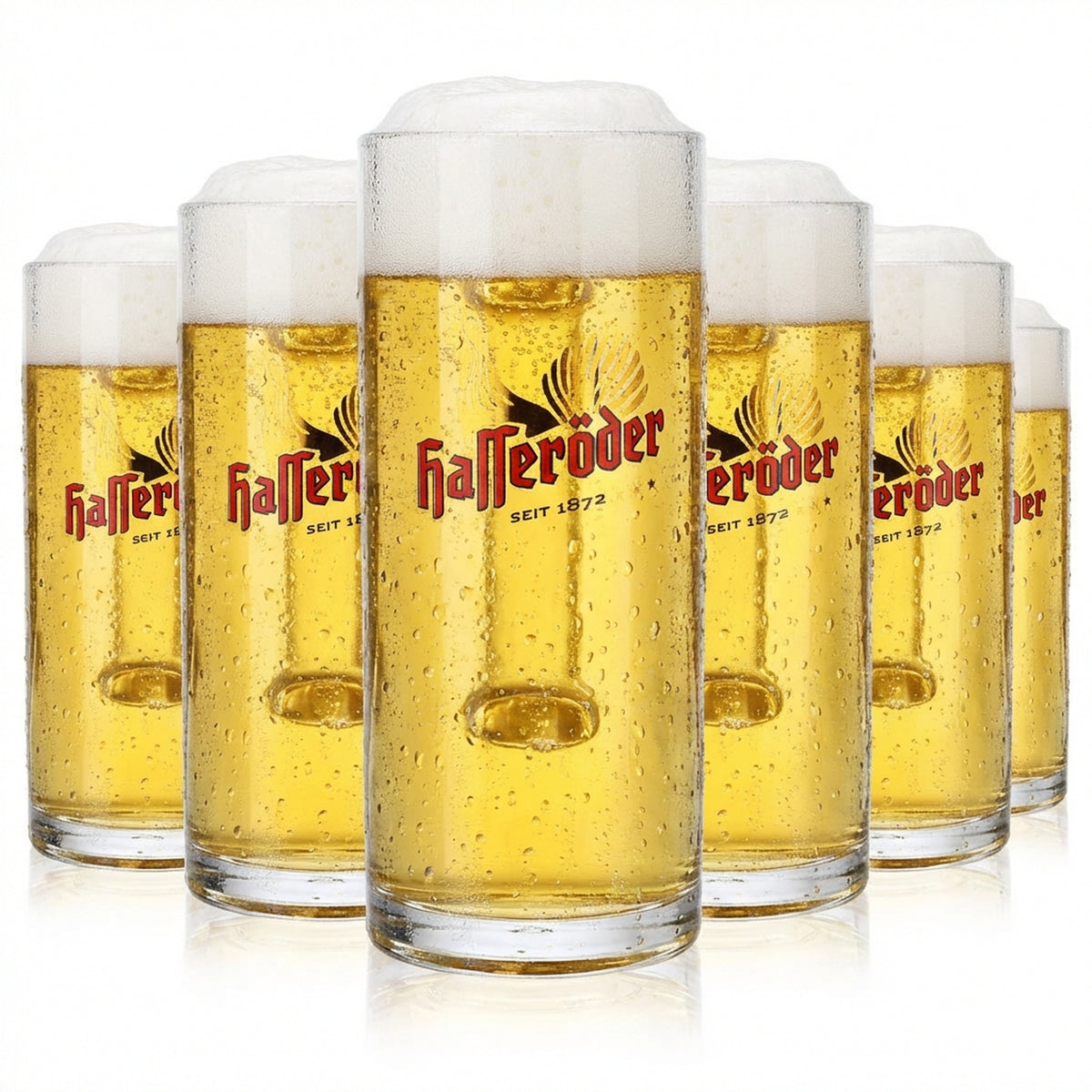 6 bicchieri da birra Hasseröder Bicchieri da birra Bicchieri da birra 0,3 l Boccale Reno
