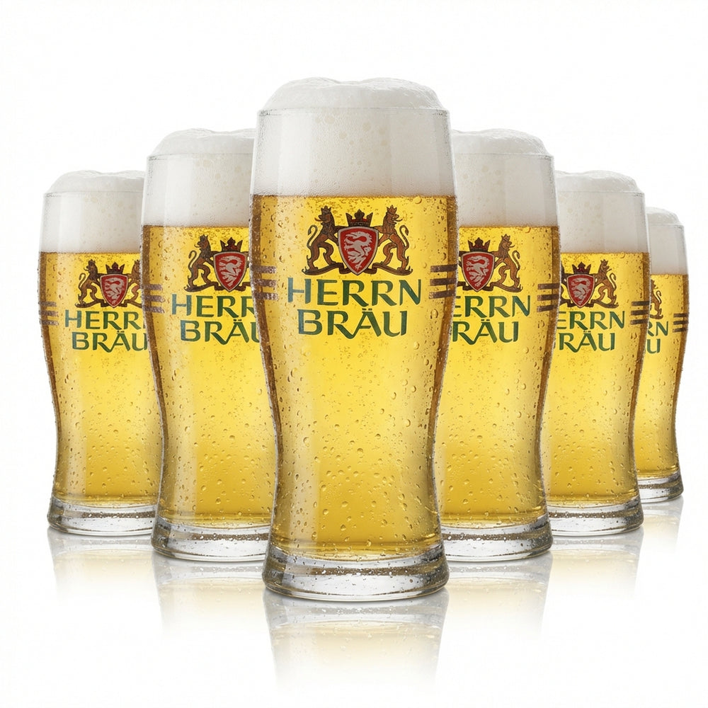 6 bicchieri Herrbräu da 0,25 l Set di bicchieri da birra Willibecher Birrificio Gastronomia Calibrati