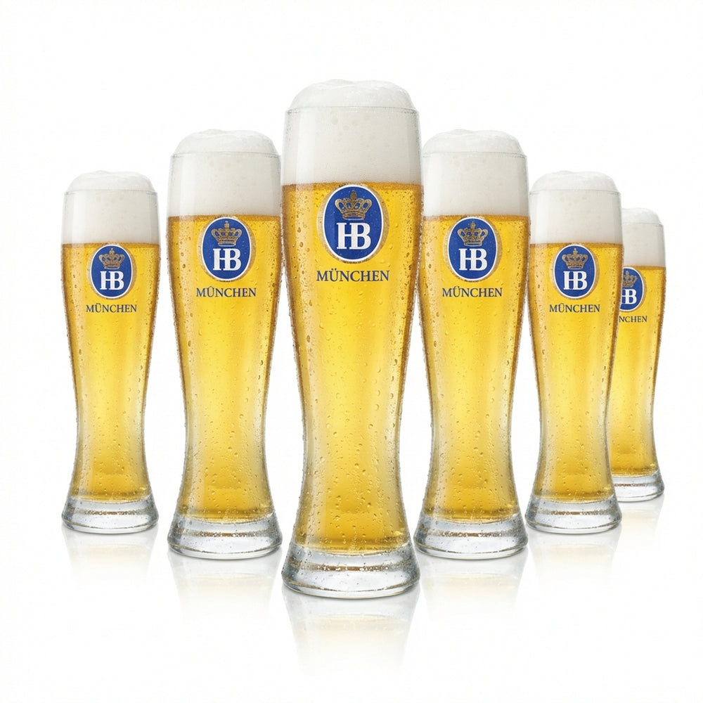 6 bicchieri da birra Hofbräu München da 0,5 l per birra di frumento bianca, eleganti bicchieri smerigliati