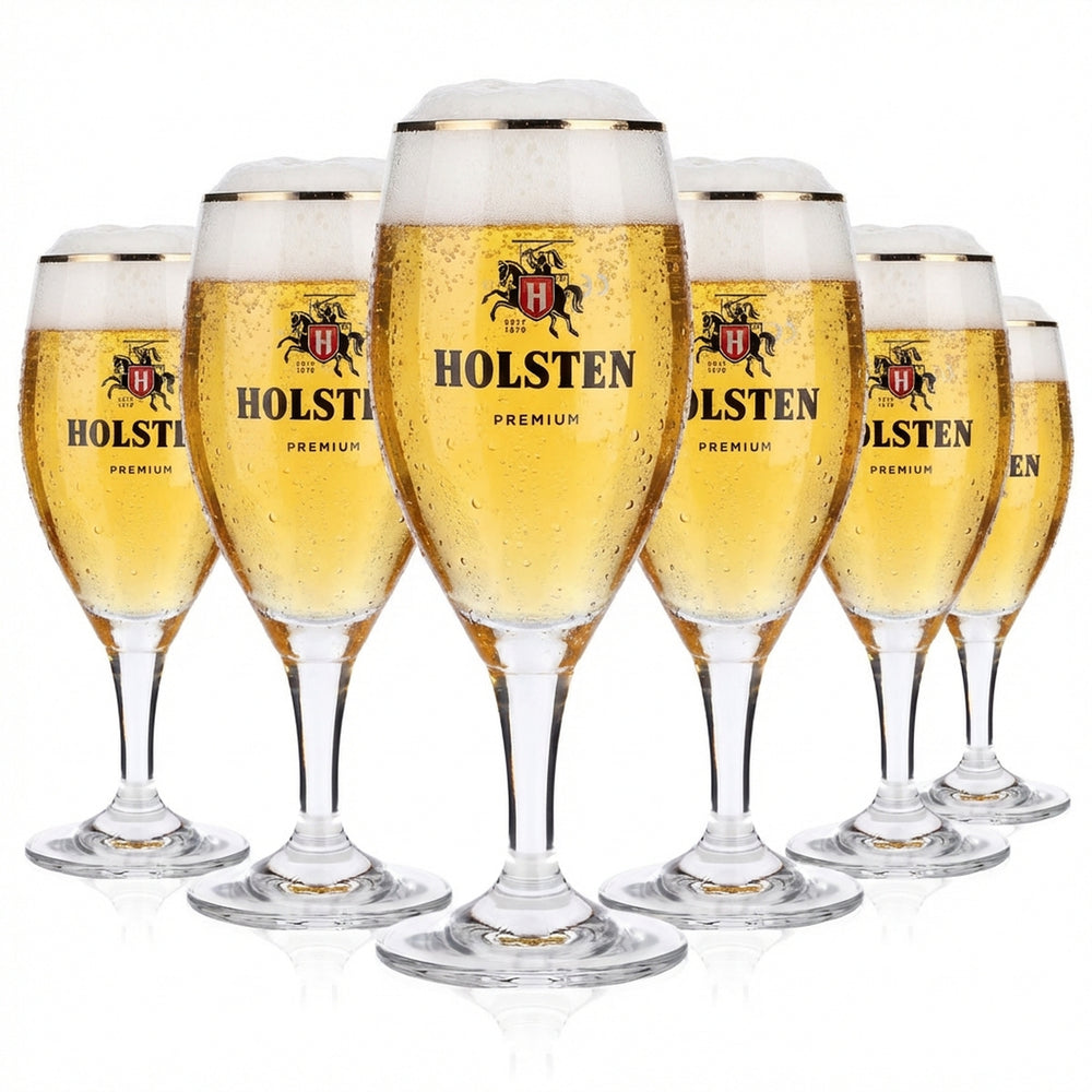 6 bicchieri da birra Holsten da 0,2 l Premium Pokal con bordo platinato Tulpe Gastro calibrati