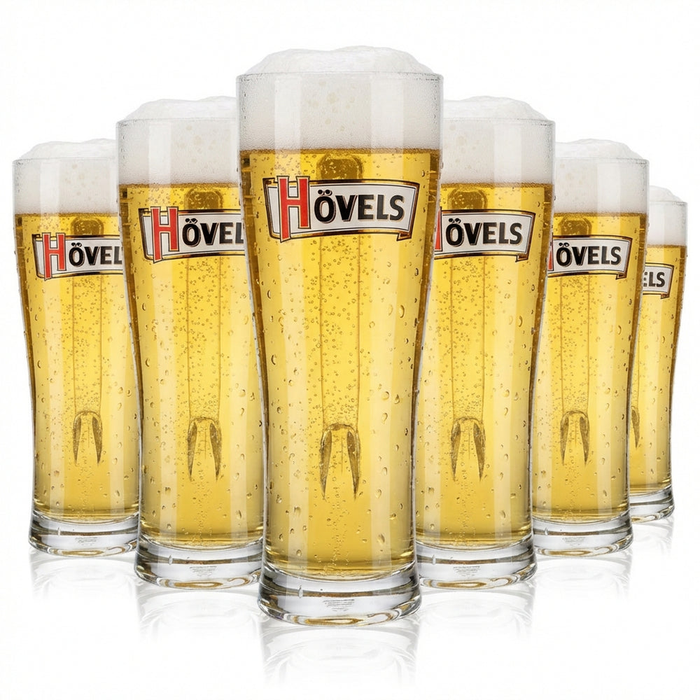 6 bicchieri da birra Hövels da 0,5 l, boccale da birra, boccale da birra Aspen
