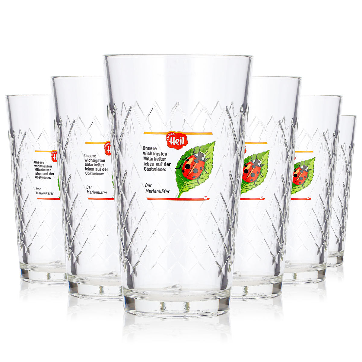 6 bicchieri da sidro "Heil" da 0,25 l, modello longdrink con logo a forma di coccinella e foglia (set da 6)