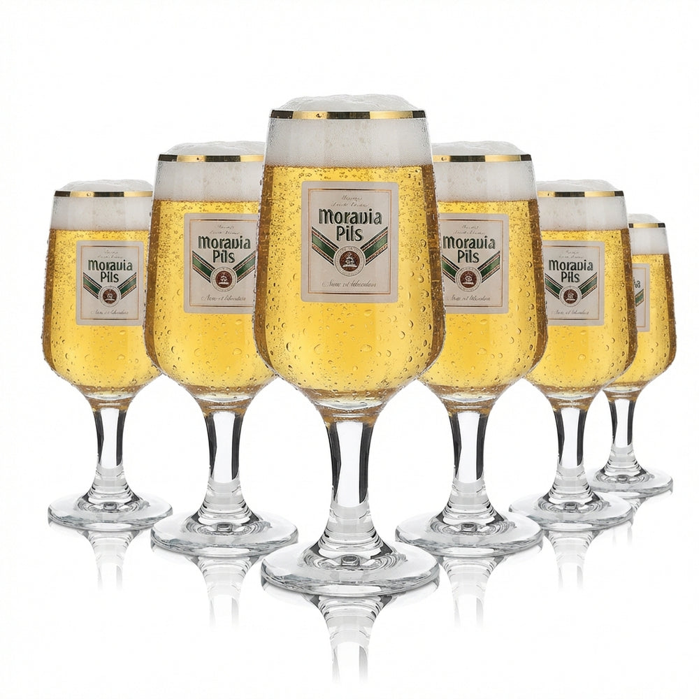 6 bicchieri Moravia da 0,2 l con bordo dorato Set di bicchieri da birra Pilstulpe per birrifici e ristoranti