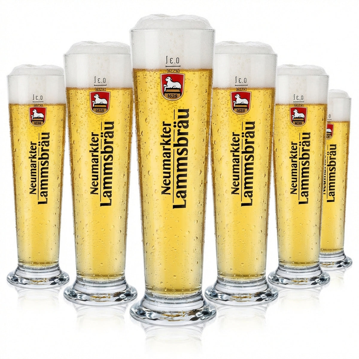6 bicchieri da birra Neumarkter Lammsbräu da 0,3 l Bicchieri da birra Rastal Basic