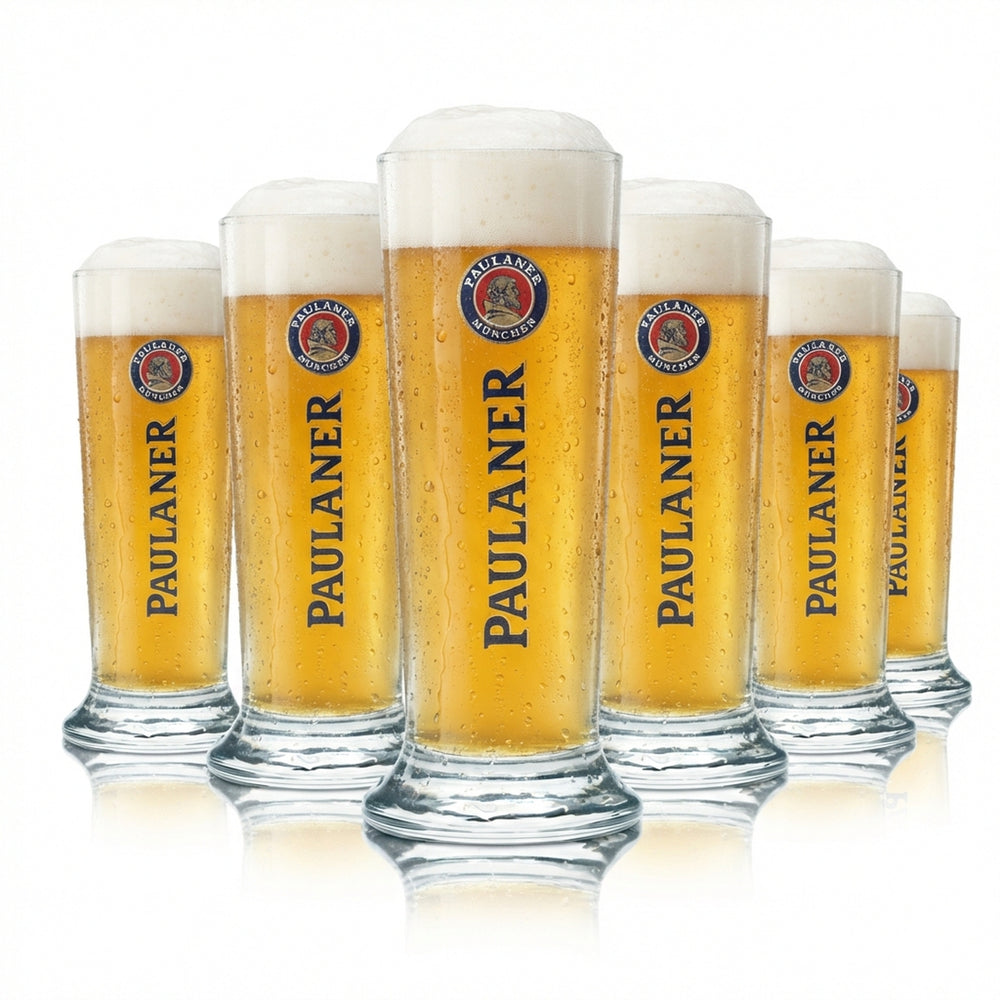 6 bicchieri da birra Paulaner 0,1 l mini coppa bicchieri da birra bianca Gastro Bar