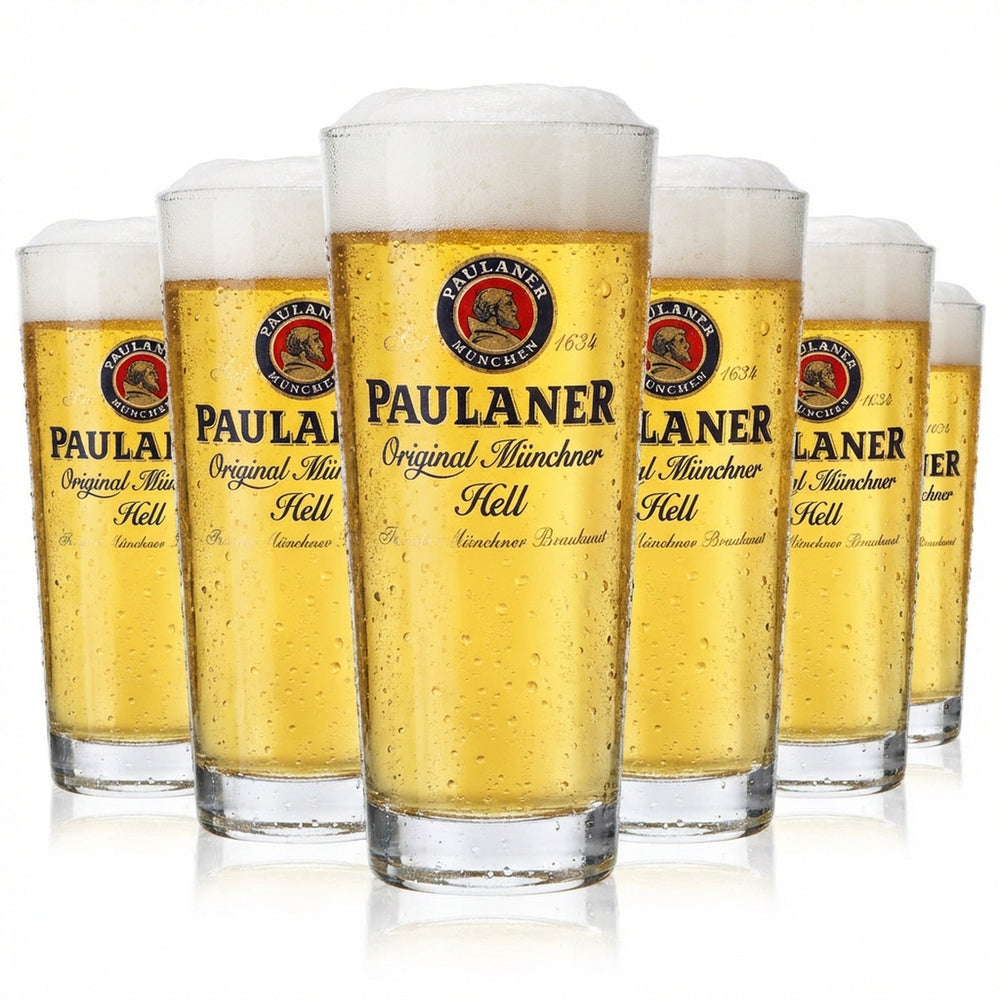 6 bicchieri da birra Paulaner da 0,25 l Bicchieri da birra Frankonia Original Münchner Hell