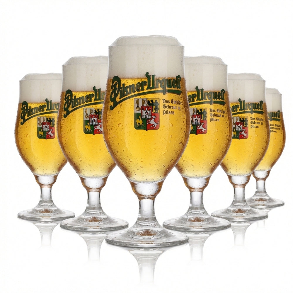 6 bicchieri Pilsner Urquell 0,2 l calice Pilstulpe Set di bicchieri originali Pilsen Birrificio