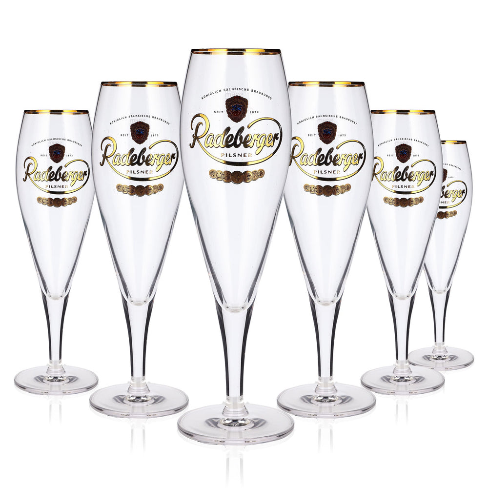 6 bicchieri da birra Radeberger da 0,3 l, modello "Pokal", "Pilsner", "Sahm" e "Tulpe"