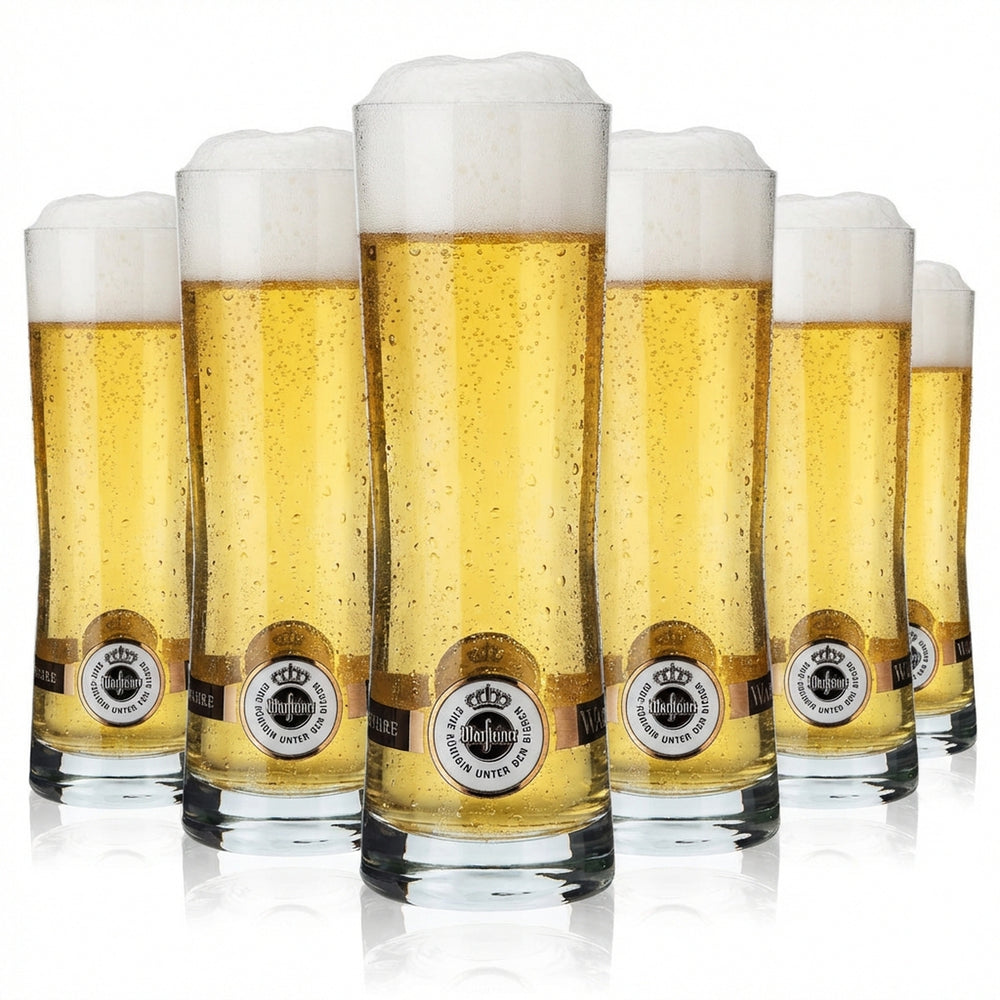 6 bicchieri da birra Warsteiner da 0,25 l con logo sul fondo Rastal Fresh