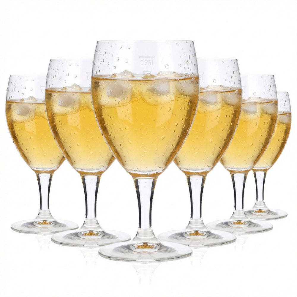 6 bicchieri da acqua Bicchieri da acqua Bicchieri da bibita 0,25 l Calice Castel