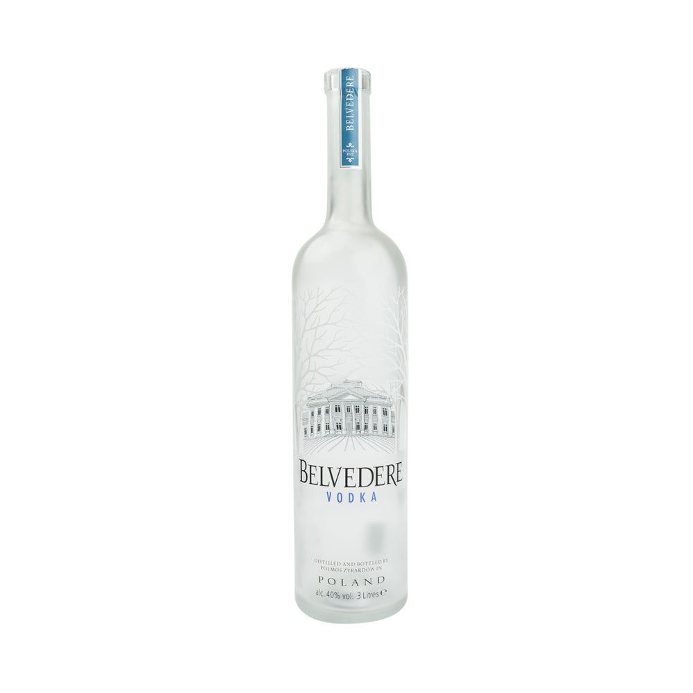 Belvedere Vodka 3l bottiglia vuota con lampada decorativa a LED salvadanaio Empty Bottle Bar