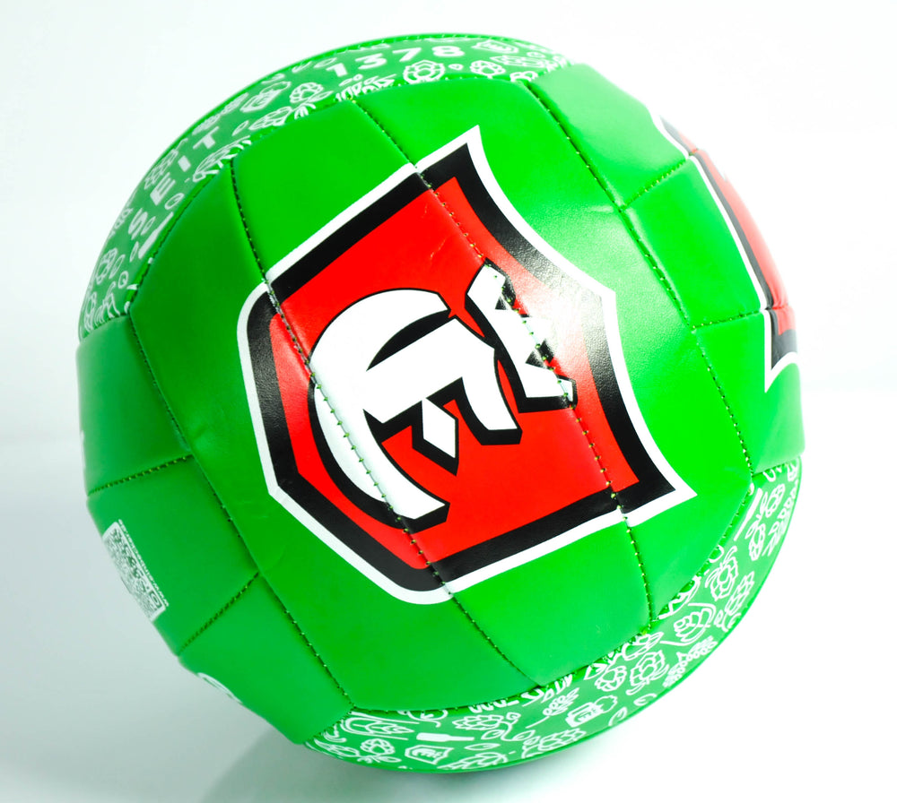 Pallone da spiaggia Einbecker Bier Beach Volleyball Beachball Calcio verde Taglia 5