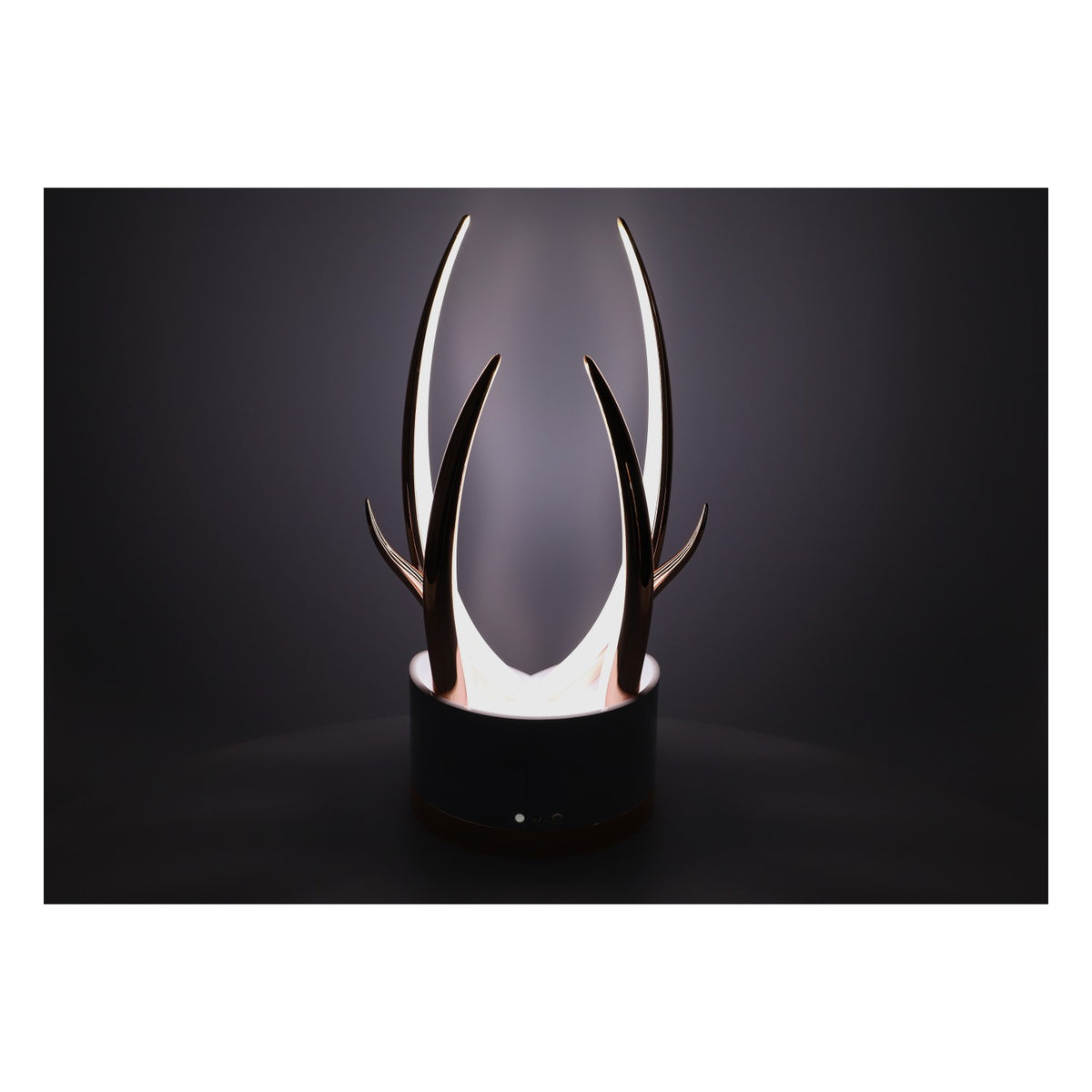 Glenfiddich Whisky LED Glorifier Insegna luminosa "Royal Glorifier" per bottiglia da 0,7 l