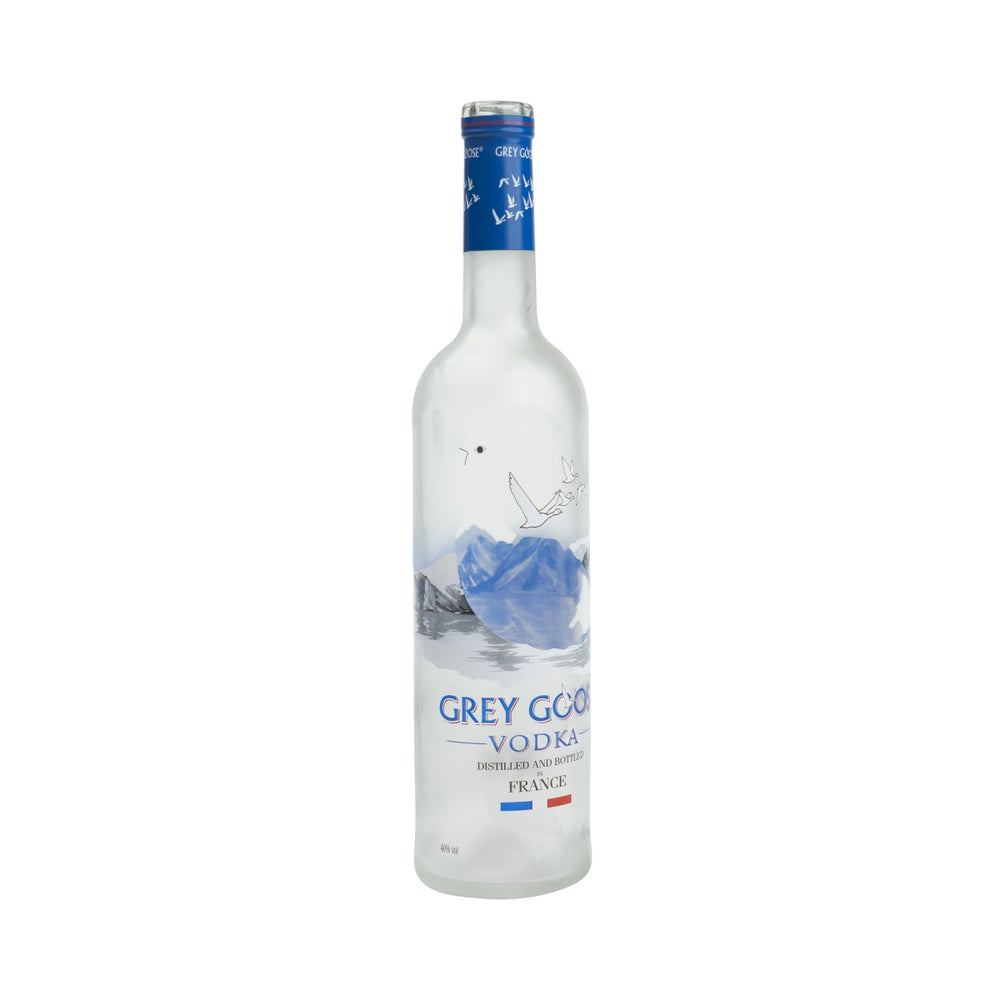 Grey Goose Vodka 0,7 l bottiglia vuota lampada decorativa salvadanaio Empty Bottle Bar Dummy