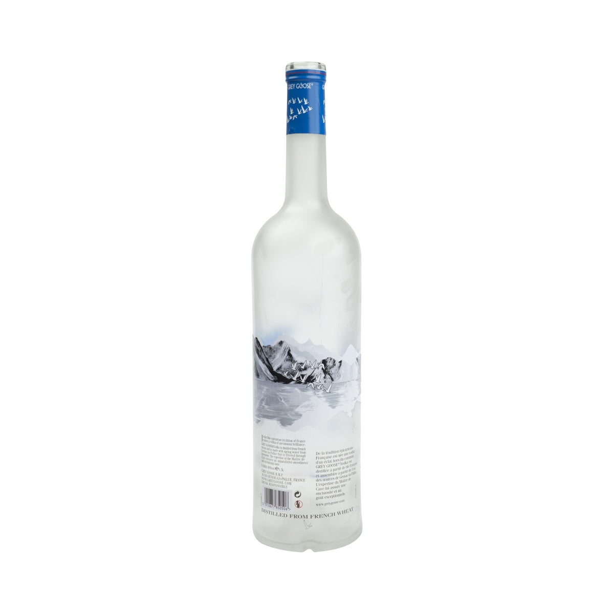 Grey Goose Vodka 1,5 l bottiglia vuota decorativa salvadanaio lampada fai da te EMPTY Bottle – Vista 3