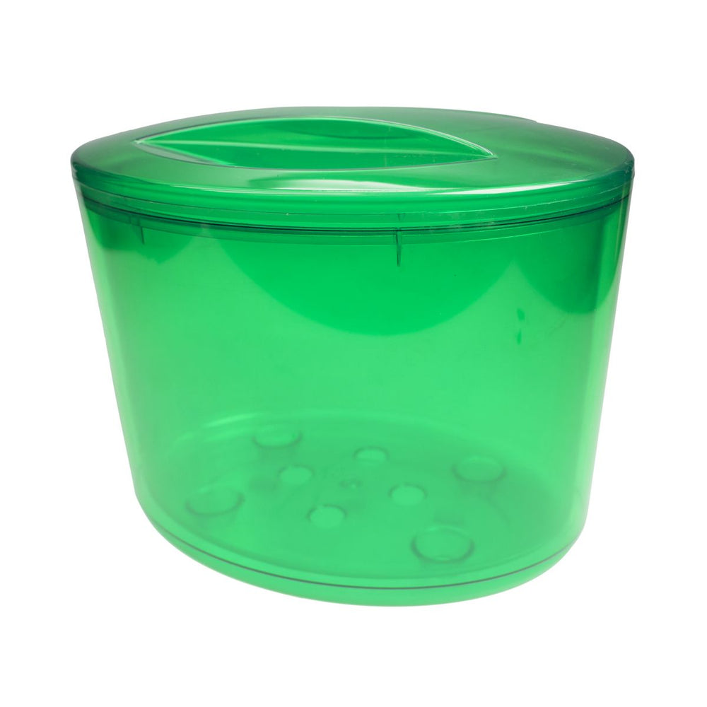 Refrigeratore per bottiglie Contenitore per ghiaccio verde con coperchio Refrigeratore per bevande Ghiacciaia