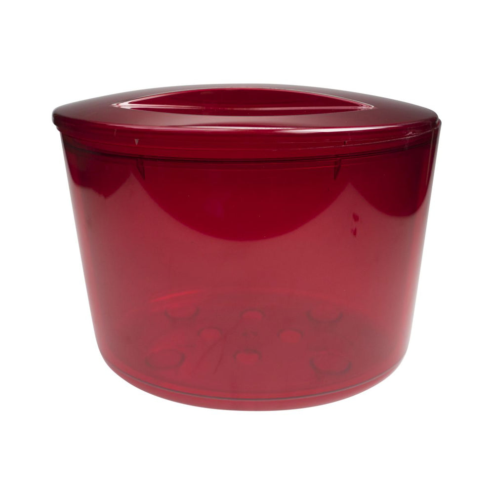Refrigeratore per bottiglie Contenitore per ghiaccio rosso con coperchio Refrigeratore per bevande Contenitore per ghiaccio