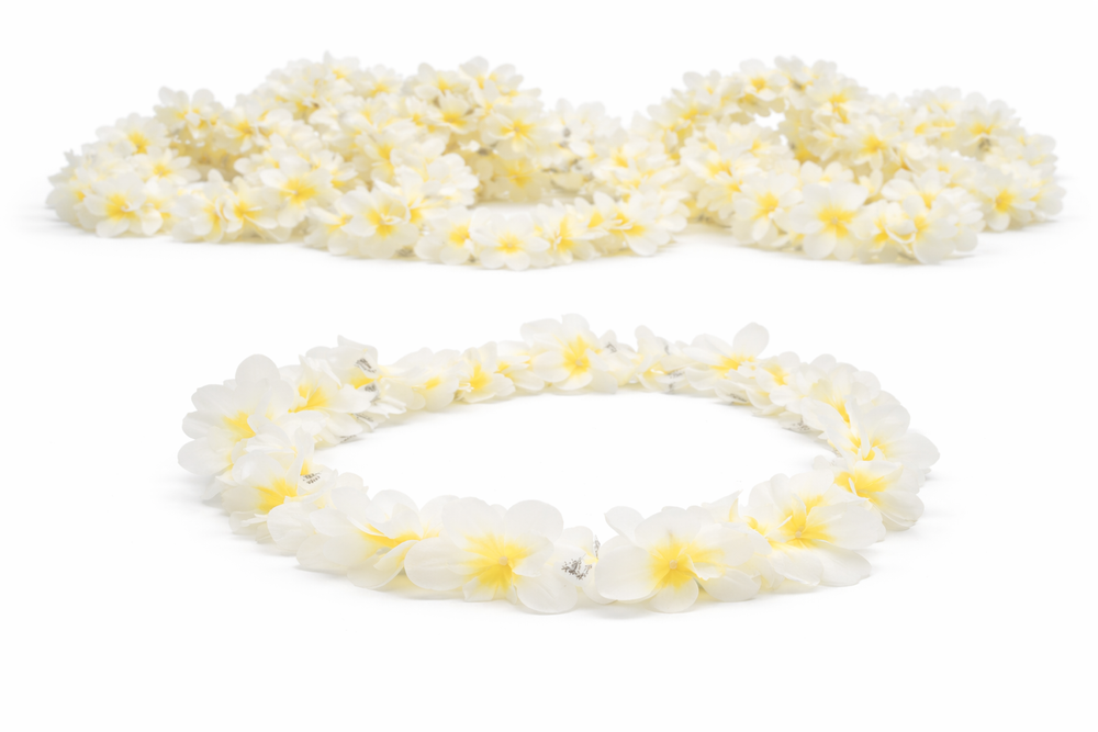 10 collane Malibu Collane di fiori Hawaii Party Carnevale Festival Accessori