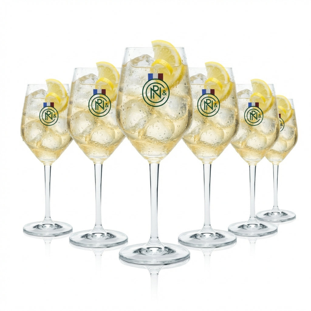 Set di 6 bicchieri Noilly Prat da 0,36 l – Bicchieri da vermouth per aperitivi e Dry Martini