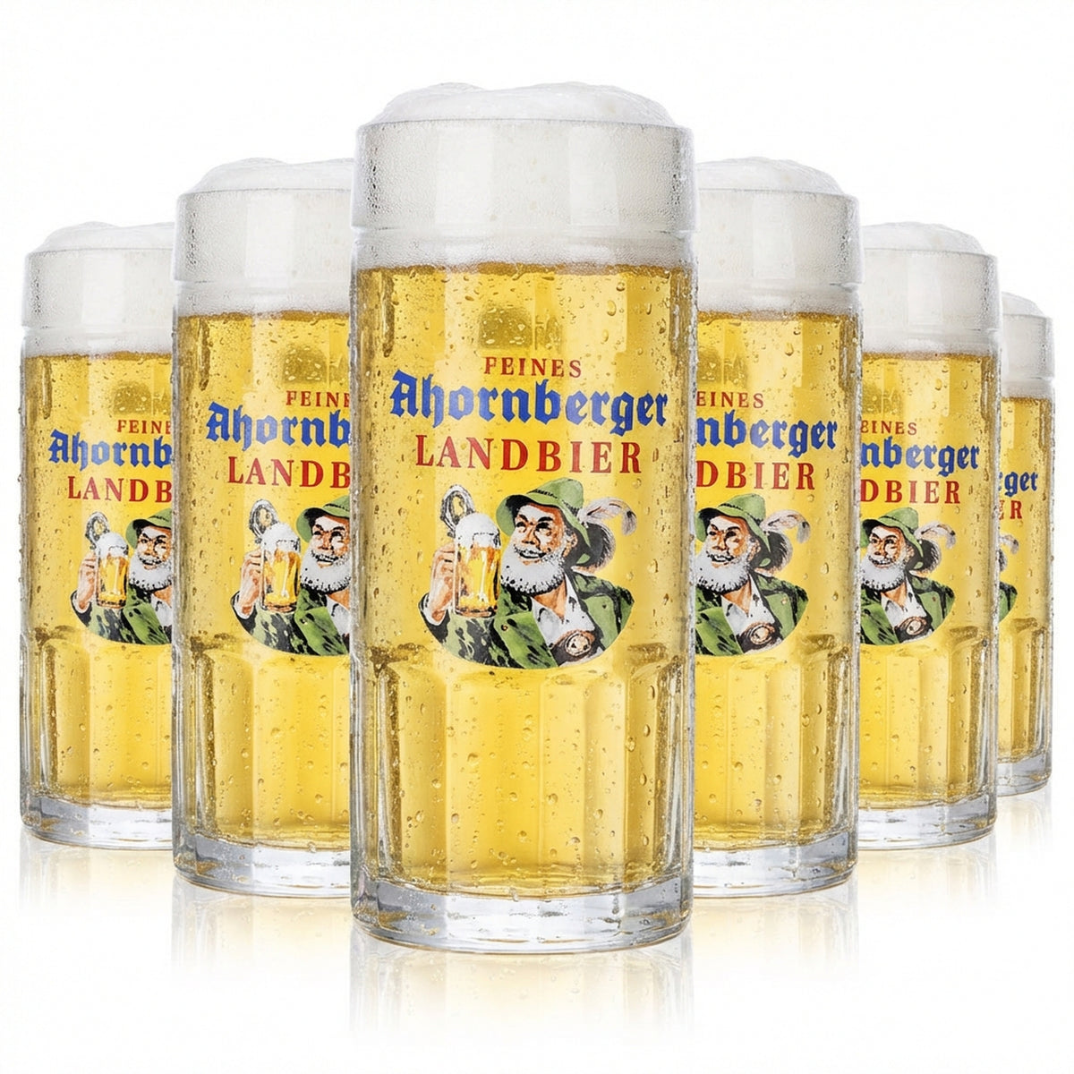 6 bicchieri da birra Ahornberger Seidel 0,25 l boccale birra rustica Rastal Falkenstein