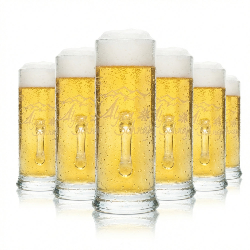 6x Grappa alpina Steinbeisser Shot Bicchiere 4 cl Mini boccale Elegante bicchiere con manico