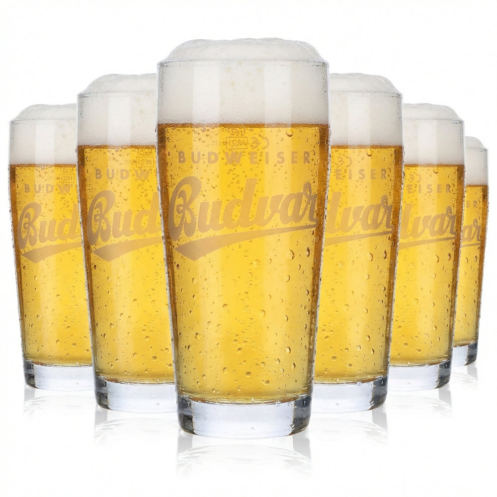 6 bicchieri da birra Budweiser Bicchieri da birra Tazze 0,3 l Budvar Logo satinato