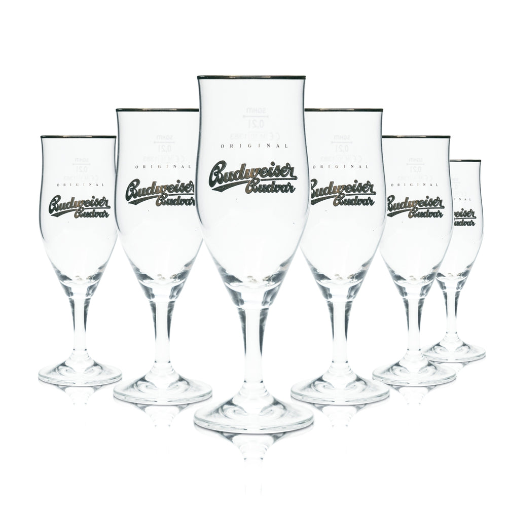 6 bicchieri Budweiser 0,2 l a forma di coppa con bordo dorato Budvar Czech Lager Pils Beer Gläser