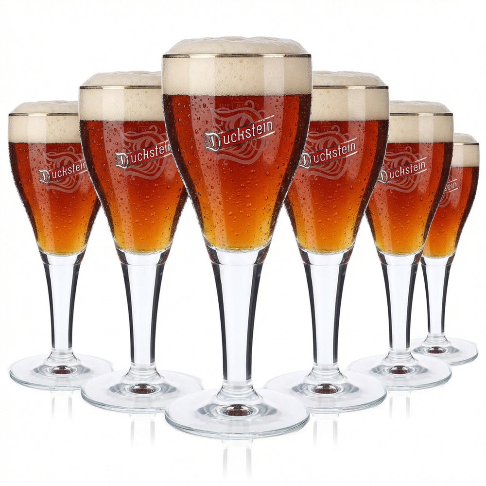 6 bicchieri da birra Duckstein da 0,25 l con bordo platinato e logo Harzer grande