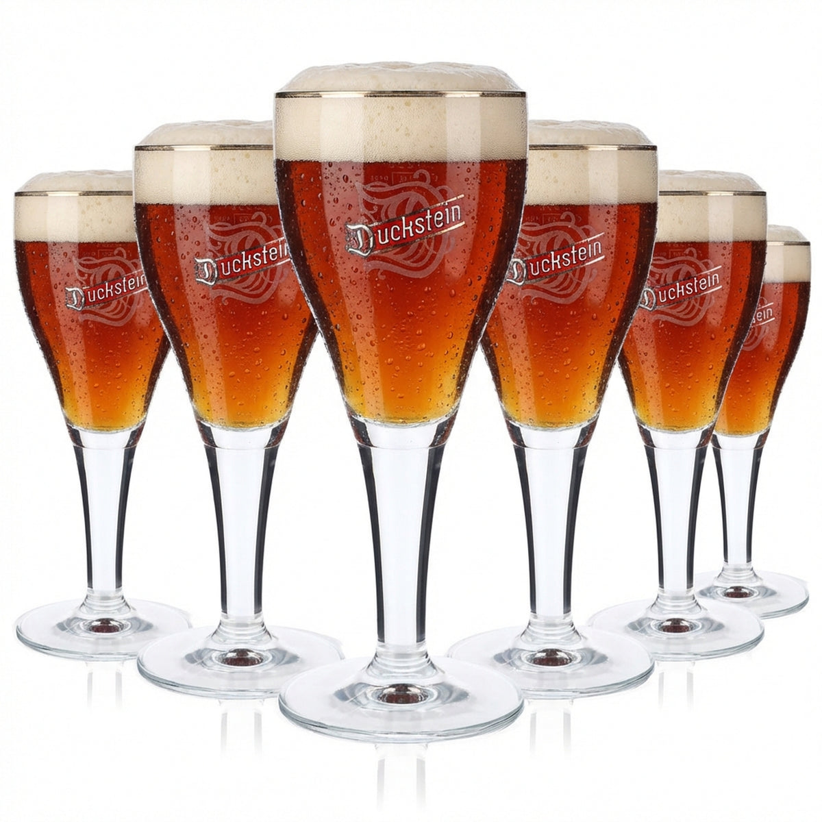 6 bicchieri da birra Duckstein da 0,25 l con bordo platinato e logo Harzer grande