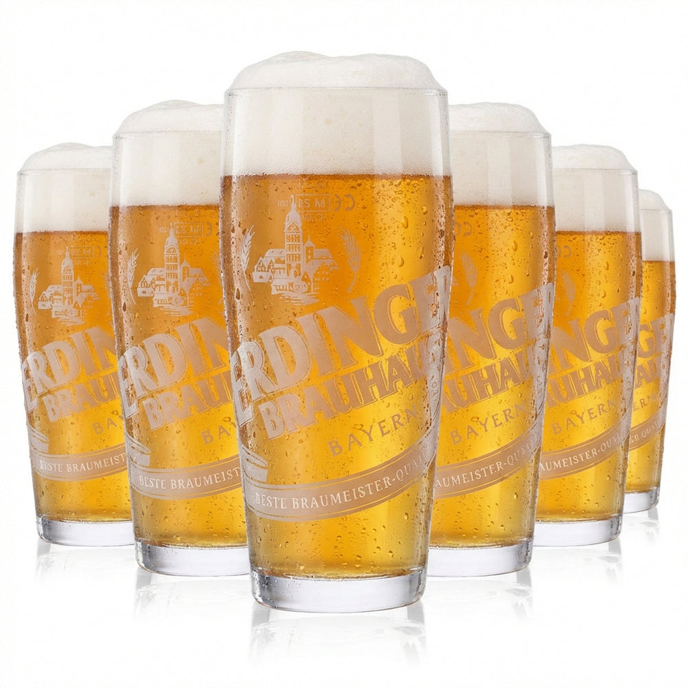 6 bicchieri Erdinger da 0,3 l Brauhaus Bier Willibecher Bicchieri Bicchieri da birra Weissbräu