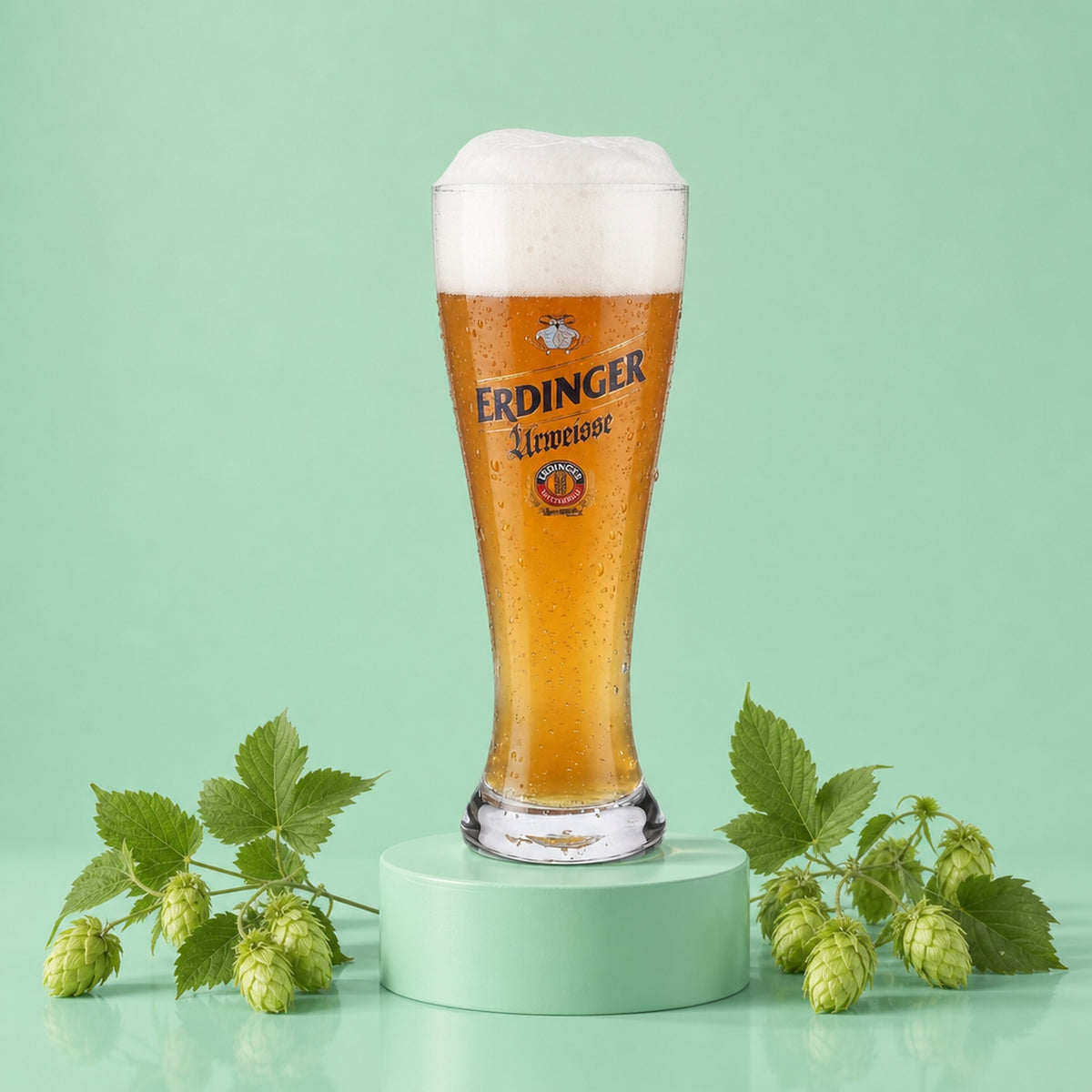 6 bicchieri Erdinger da 0,3 l Bicchiere da birra bianca Urweisse Effetto perlato Fatto a mano Hefeweizen