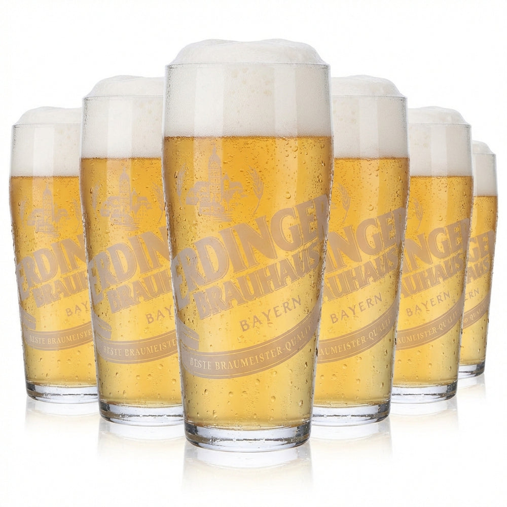 6 bicchieri Erdinger da 0,5 l Birra artigianale Willibecher Bicchieri Bicchieri da birra Weissbräu