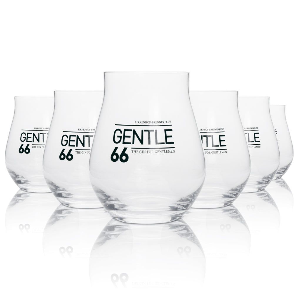 6x Gentle66 Bicchieri in vetro 0,42 l Gin Tonic Fizz Tumbler Longdrink Cocktail Balloon