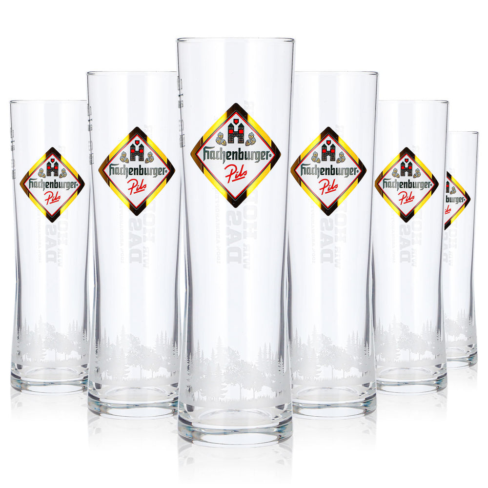 6 bicchieri da birra Hachenburger da 0,2 l, modello longdrink, Pils Rastal, logo dorato (set da 6)
