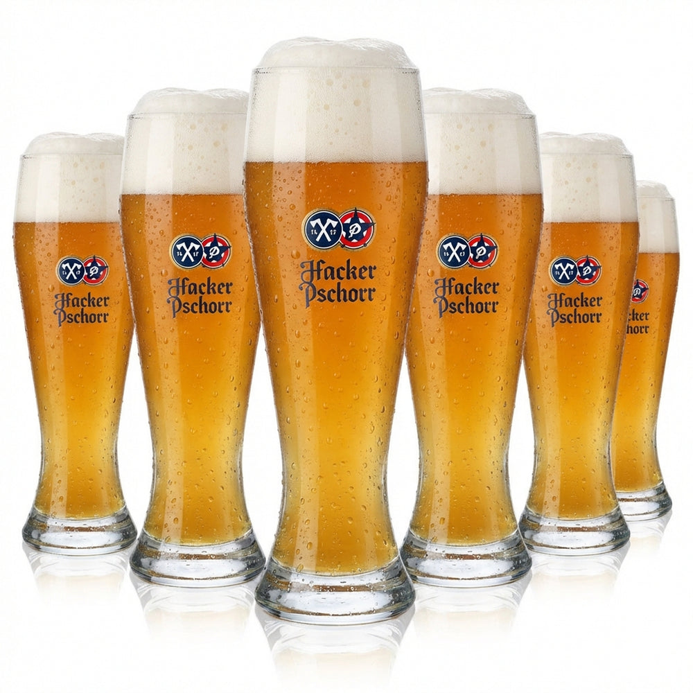 6 bicchieri da birra Hacker Pschorr da 0,5 l Bicchiere da birra bianca "Spitzingsee" Design Rastal