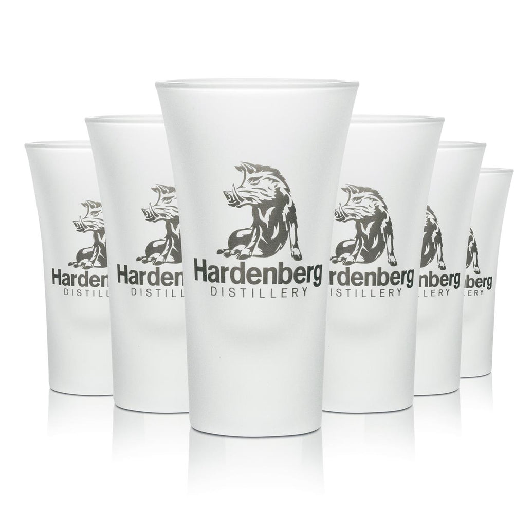 6 bicchieri da shot Hardenberg Distillery 4 cl in vetro opaco