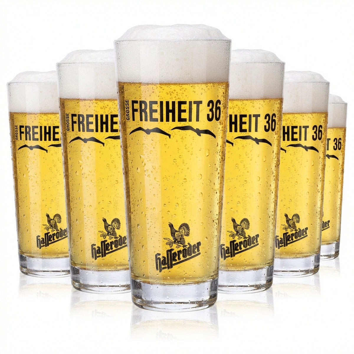 6 bicchieri da birra Hasseröder Bicchieri da birra 0,3 l Willibecher Große Freiheit 36