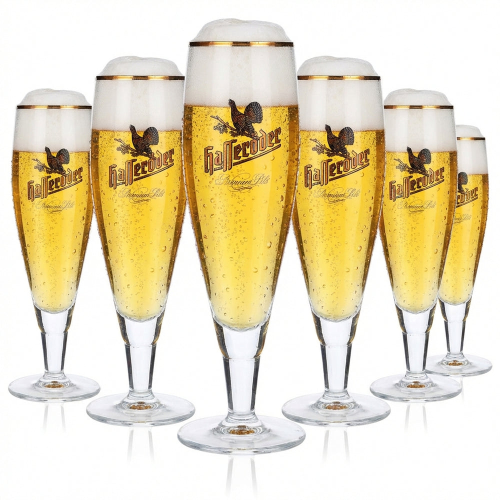 6 bicchieri da birra Hasseröder 0,2 l con bordo dorato Alegro Pokal lungo Ritzenhoff