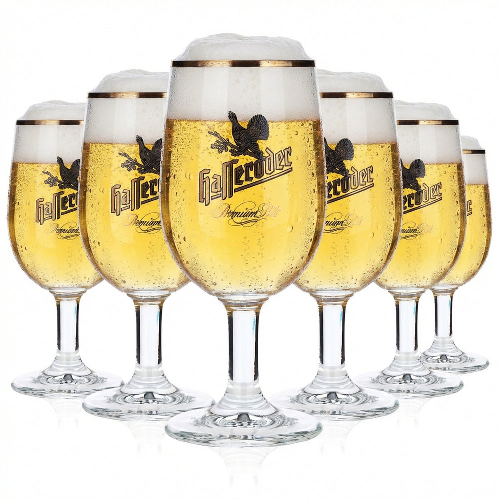 6 bicchieri da birra Hasseröder con bordo dorato da 0,2 l "Premium Pils" Ritzenhoff