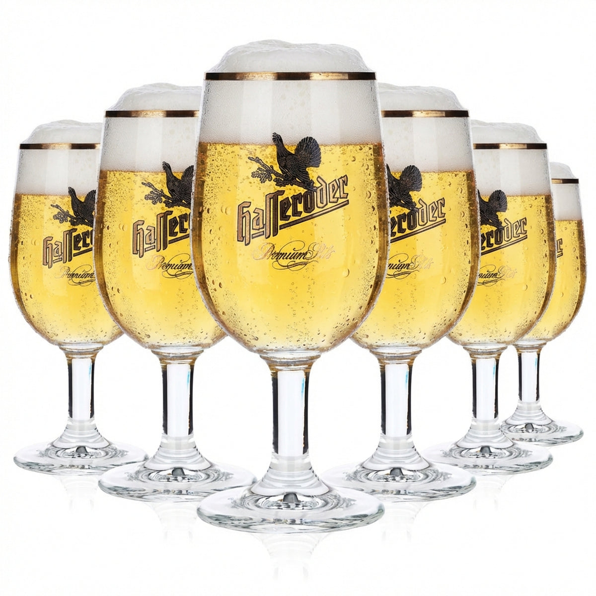 6 bicchieri da birra Hasseröder con bordo dorato da 0,2 l "Premium Pils" Ritzenhoff