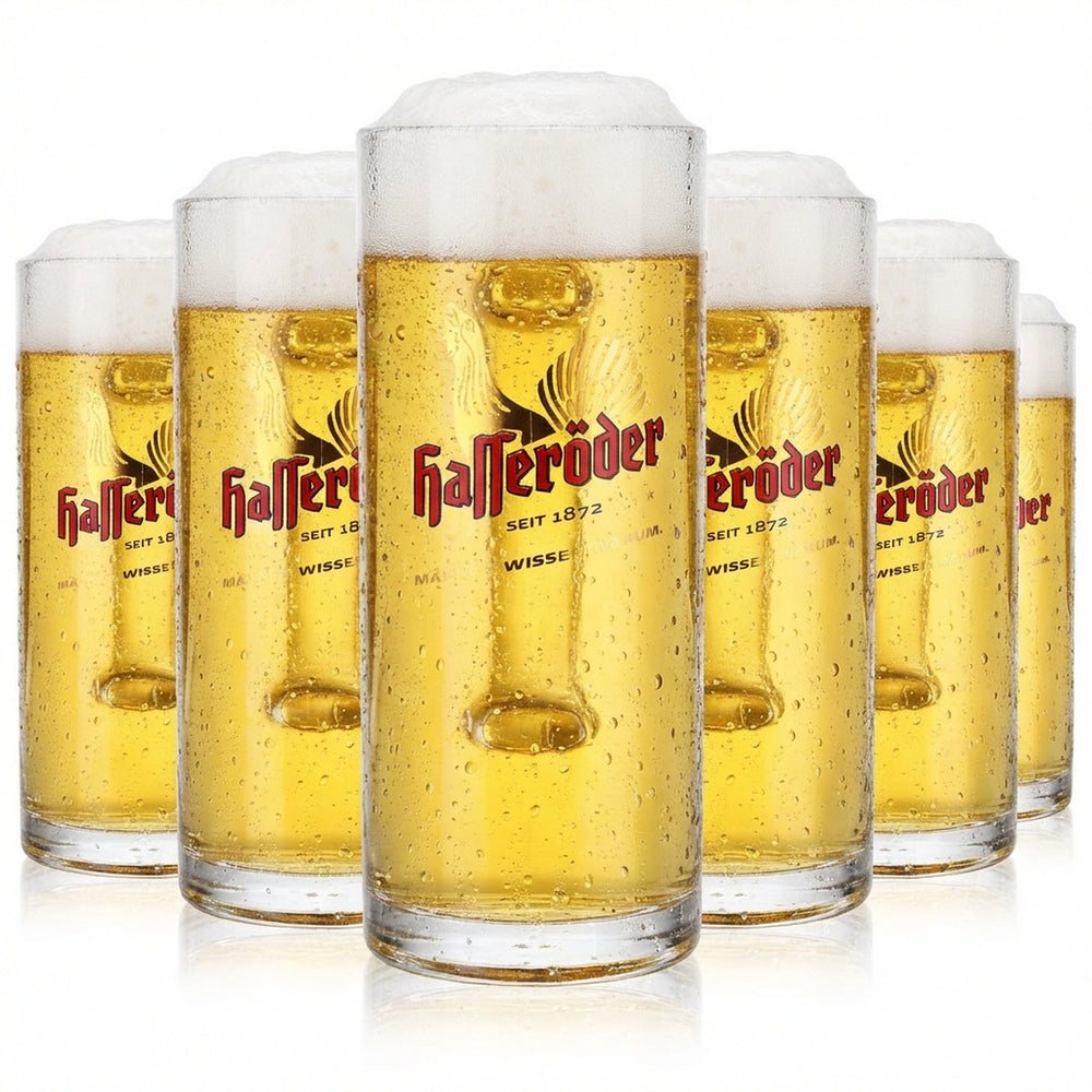 6 bicchieri da birra Hasseröder Bicchiere da birra Bicchiere da birra 0,4 l "Reno-Seidel"