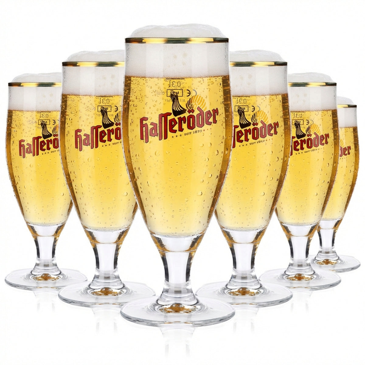 6 bicchieri da birra Hasseröder Bicchieri Bicchieri da birra in vetro 0,3 l Calice con bordo dorato Ritzenhoff