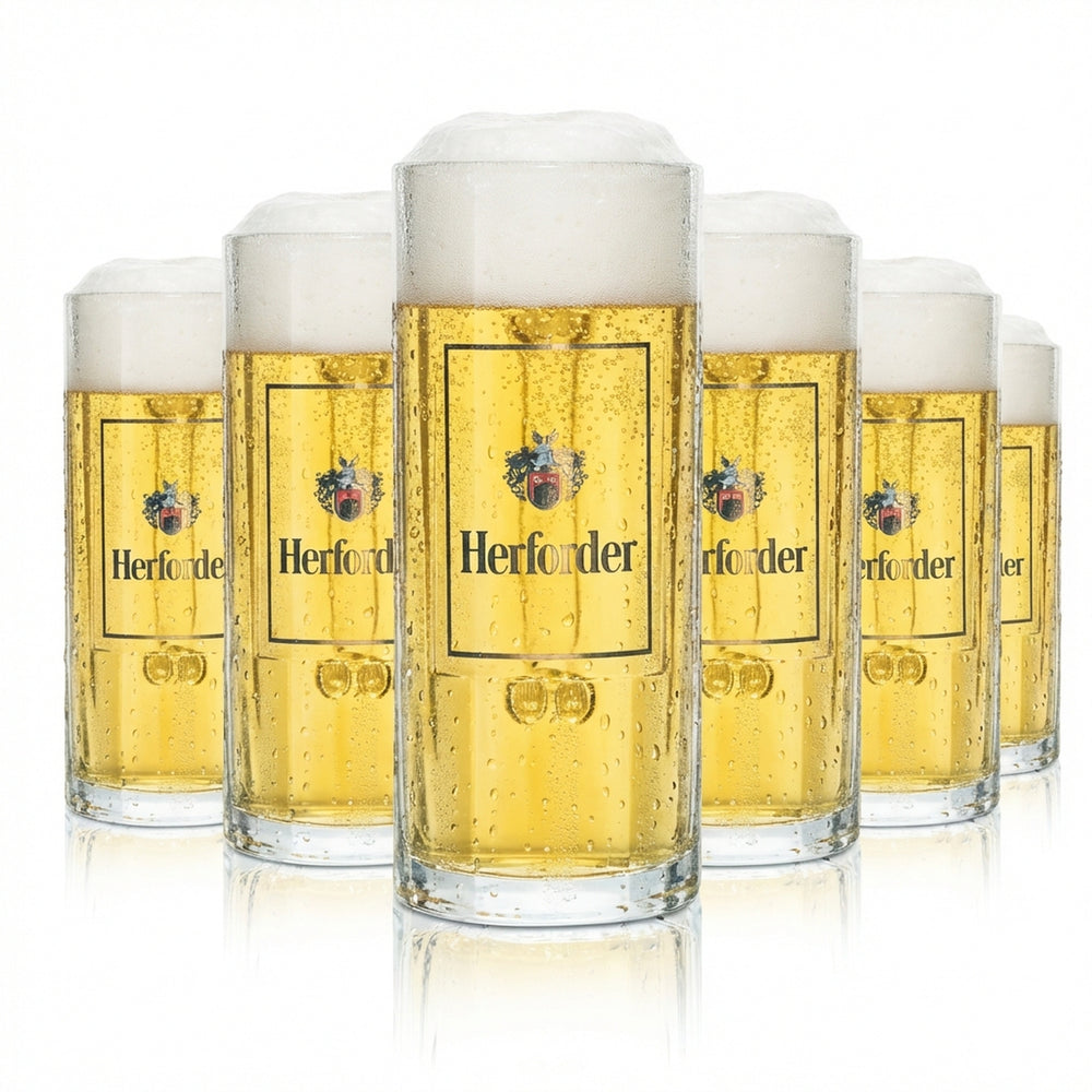 6 bicchieri da birra Herforder Pils da 0,3 l, boccale Wallenstein Sahm Seidel, bicchieri da bar
