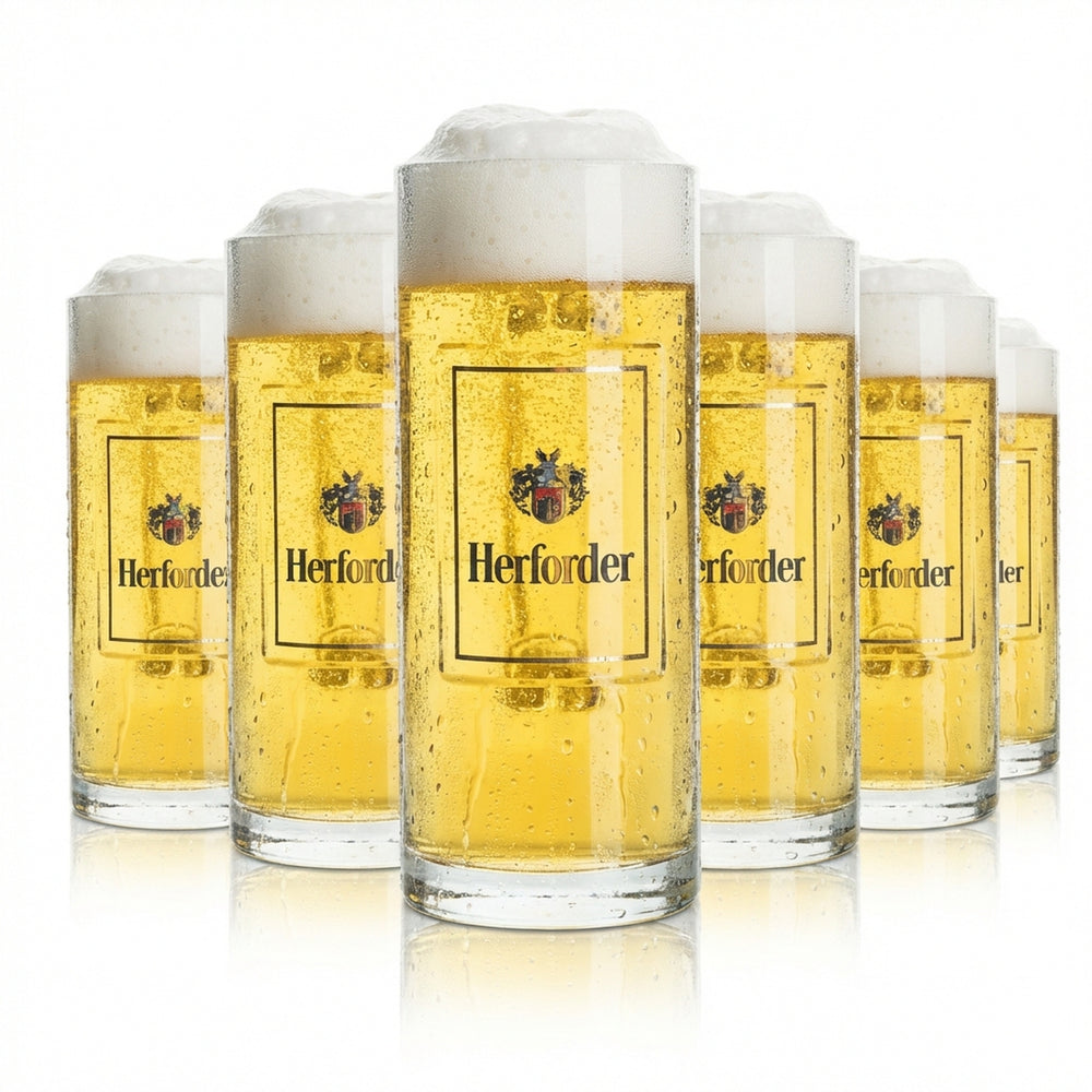 6 bicchieri da birra Herforder Pils da 0,5 l, boccale Wallenstein Sahm Seidel con manico, bicchieri da birra