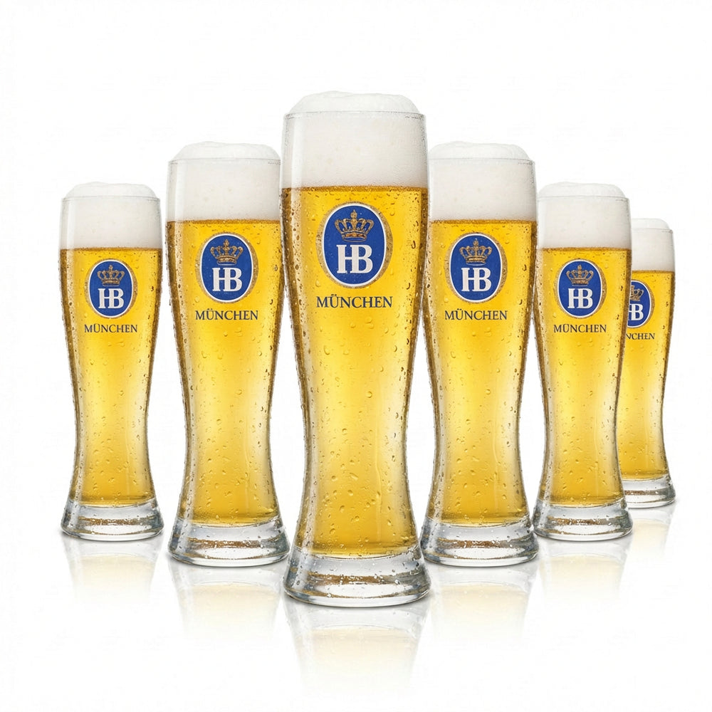 6 bicchieri da birra Hofbräu München 0,3 l per birra bianca Sahm HB Weizen Gläser Hefe Beer